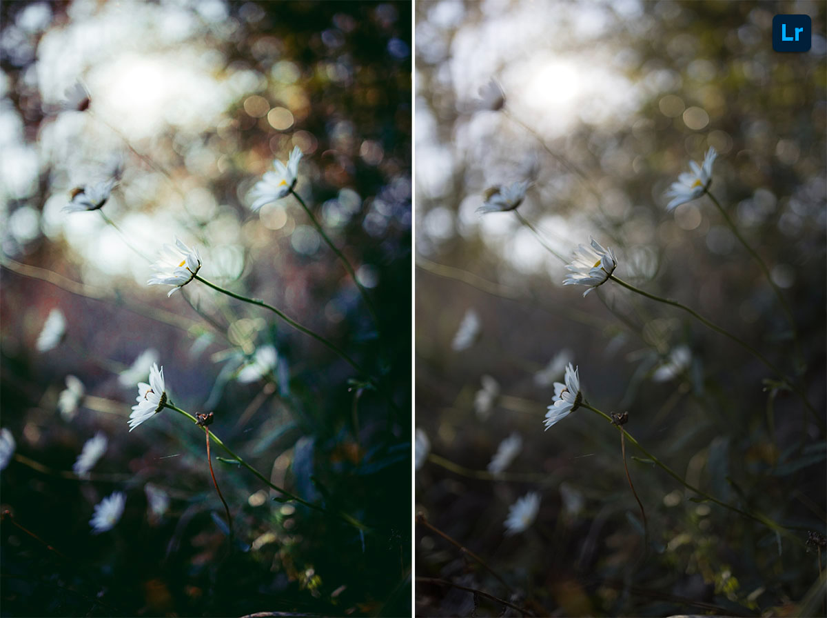 Lightroom editor