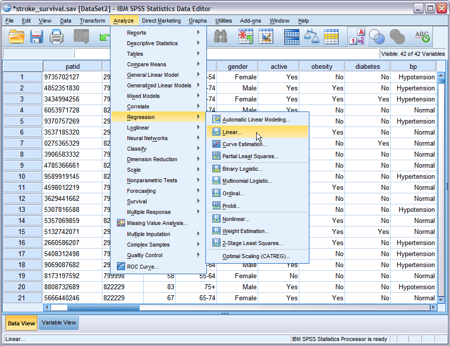 Spss softdeluxe