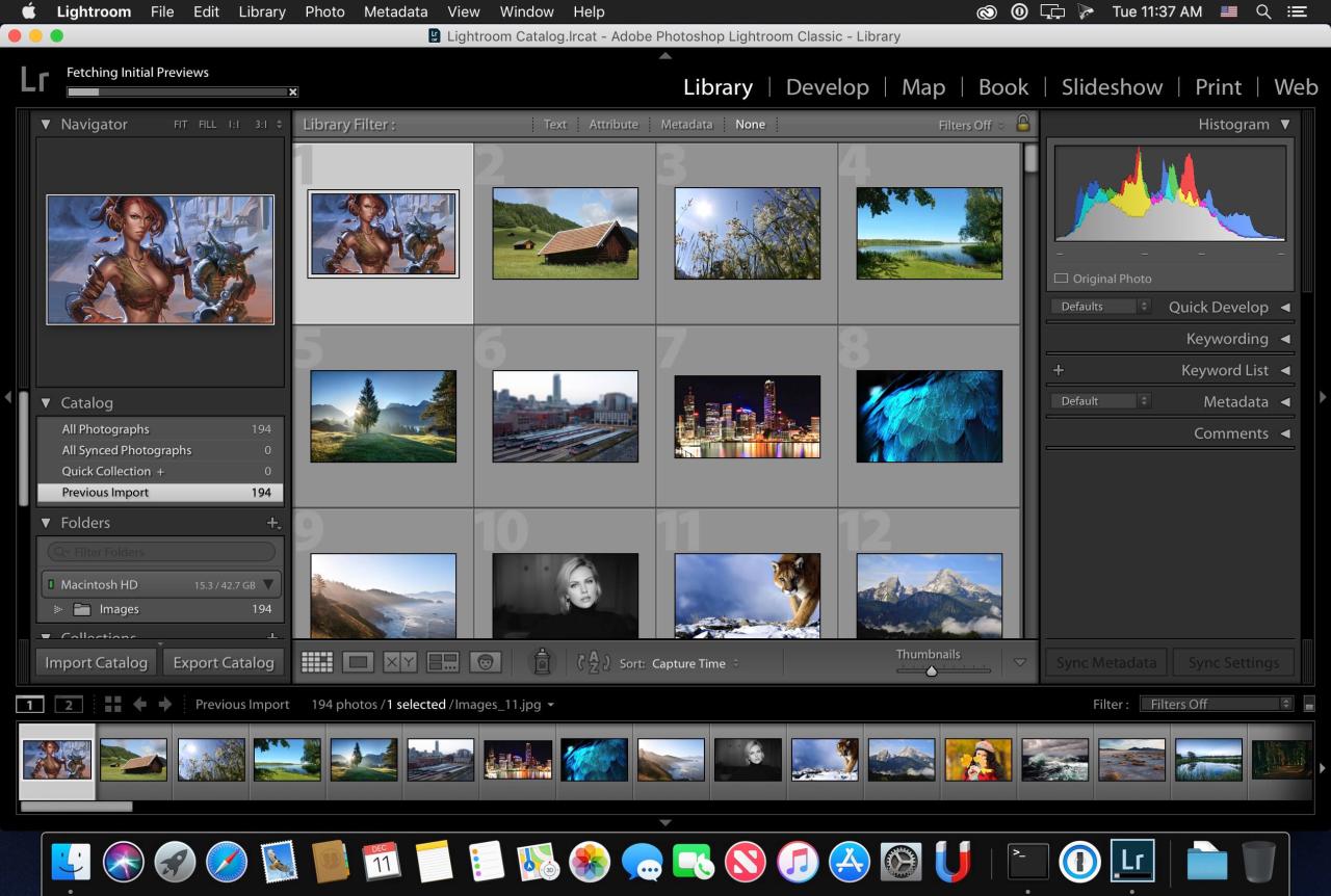 Adobe Photoshop Lightroom Classic CC 2019 v8.4.1 download | macOS