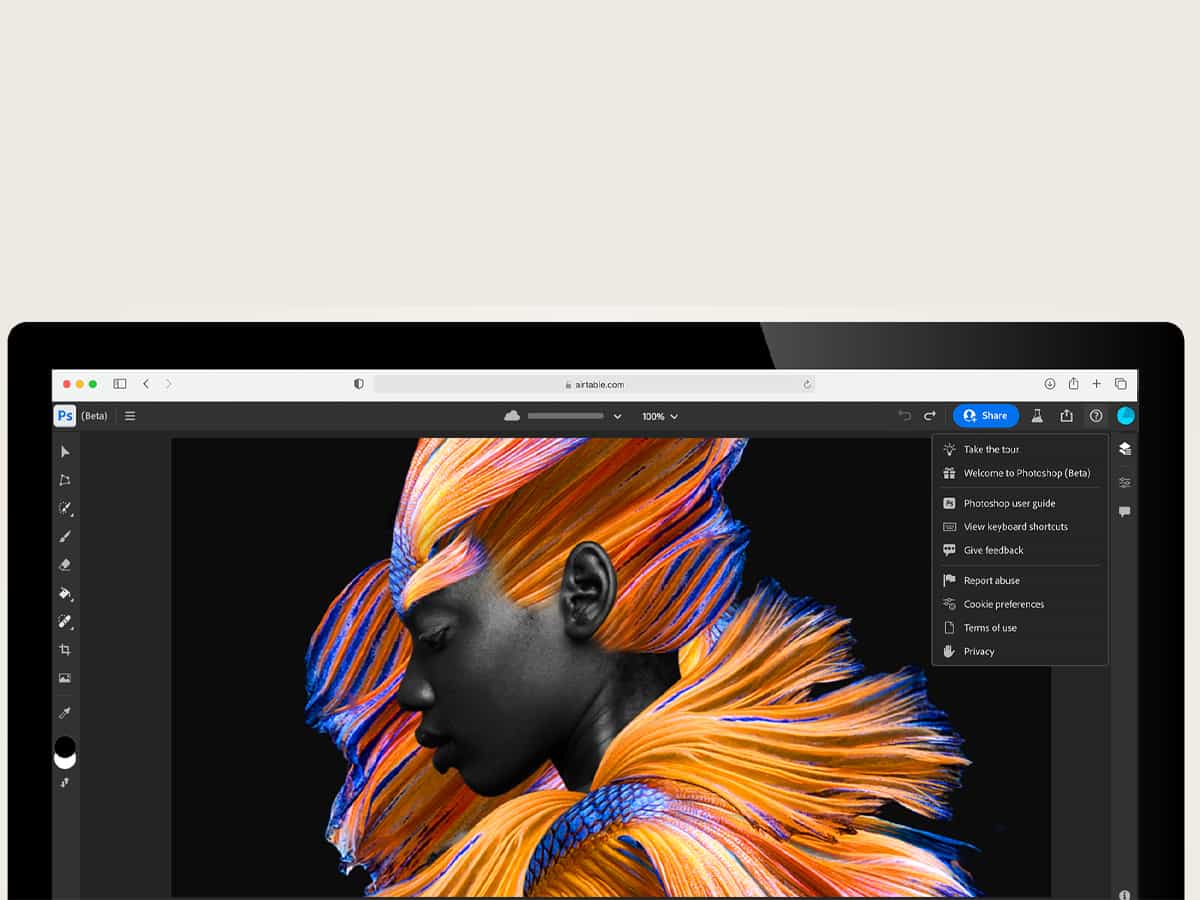Adobe
