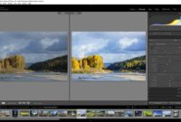 Photoshop lightroom classic