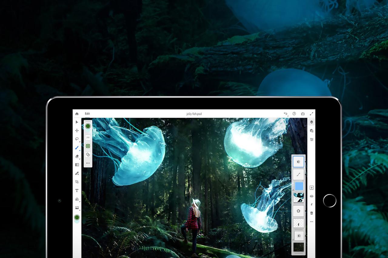 Adobe arrives making appadvice