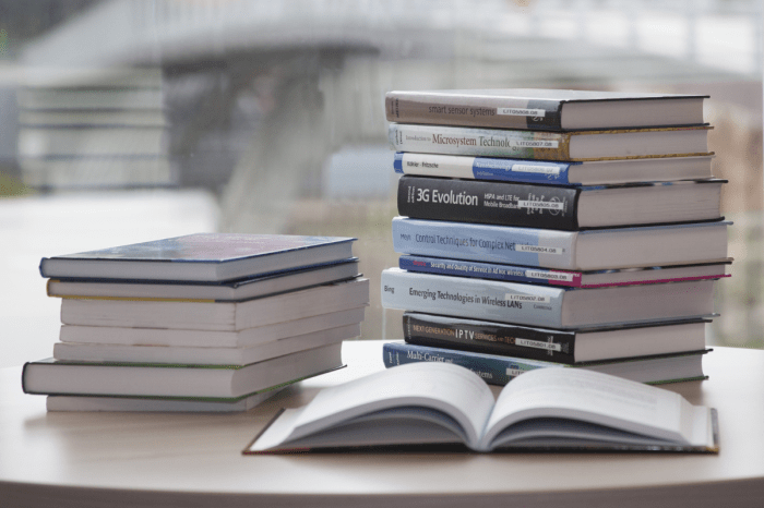 Book The Independent Insurance Agency: How To Start And Run?