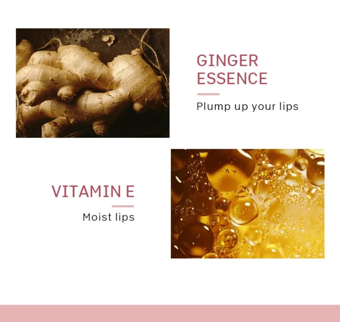 DEROL Ginger Extract Peppermint Lip Plumper Day Night Repair Moisturizing Long-lasting Lip Pack Lip Purple Special Effect Makeup