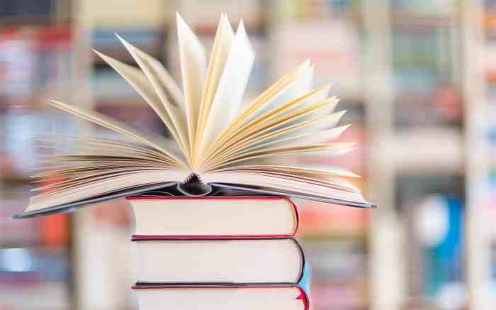 Book Insurance Adjuster Exam Success