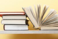 Book The Independent Insurance Agency: How To Start And Run?