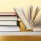 Book The Independent Insurance Agency: How To Start And Run?