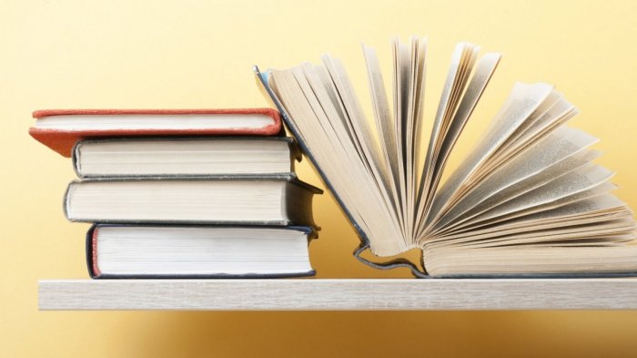 Book The Independent Insurance Agency: How To Start And Run?