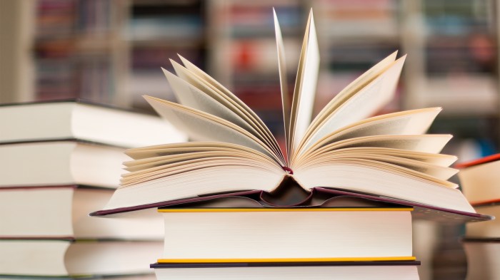 Book Insurance and Reinsurance for the 21st Century: From Disruption to Evolution