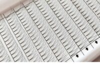 Seashine Long Stem 2D 4D 6D 7D False Lashes Premade Russian Volume Fans Faux Mink Premade Eyelash Extensions Makeup