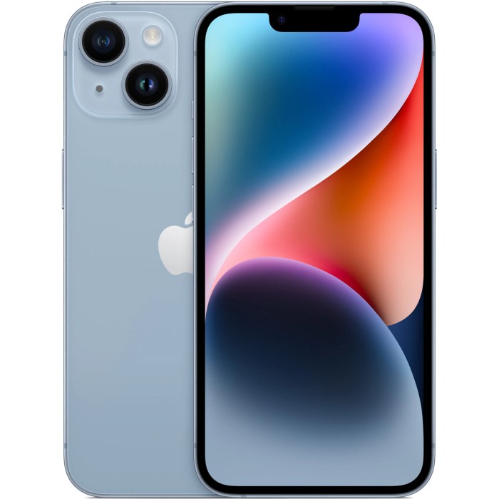 For iPhone 13 Case，Y2K Citrus Coastal Vintage Style Military-Grade Drop Protection TPU Camera Protection for Women Girls